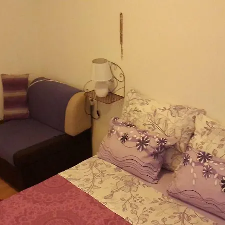 Dino Apartment Split
